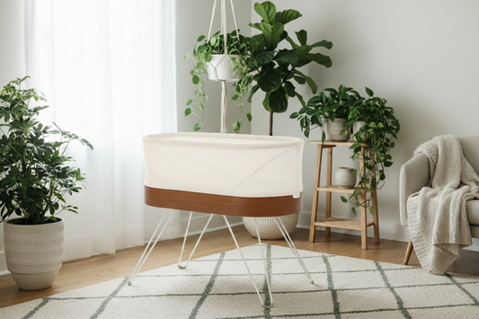 Renting vs. Buying Baby Gear: The Environmental Impact